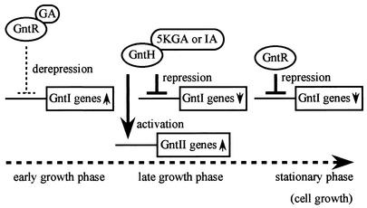 FIG. 8.