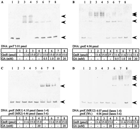 FIG. 7.