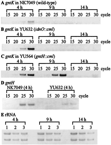 FIG. 6.