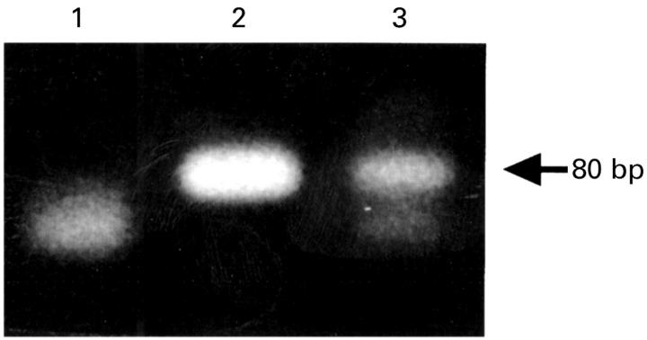 Figure 2  