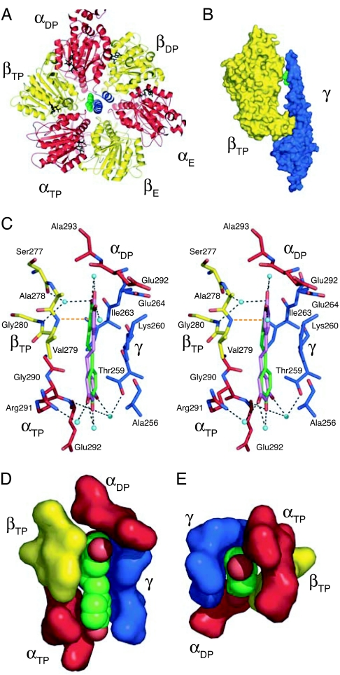 Fig. 2.