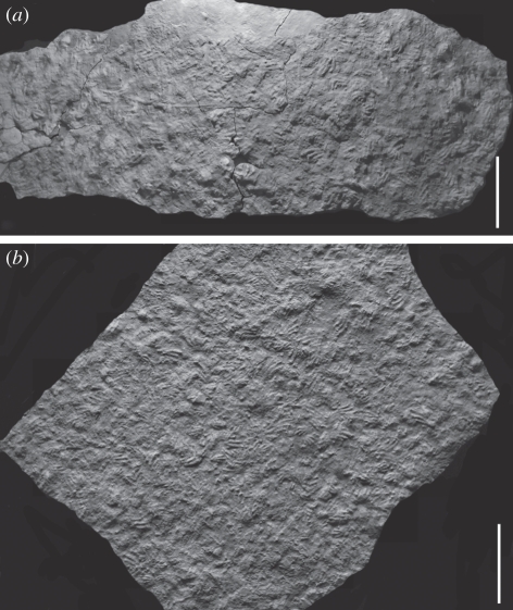 Figure 3.