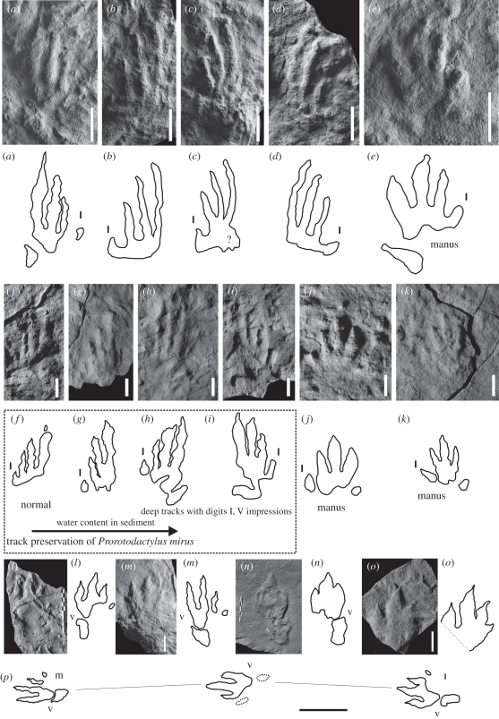 Figure 2.