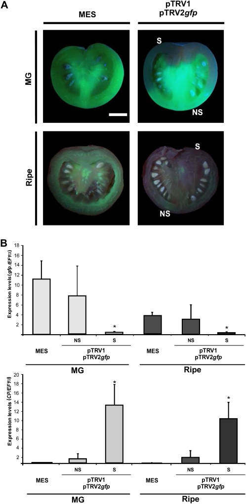 Figure 3.