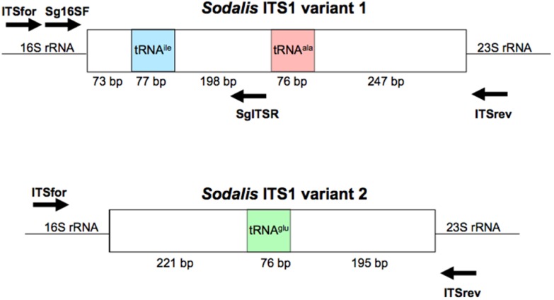 Figure S1