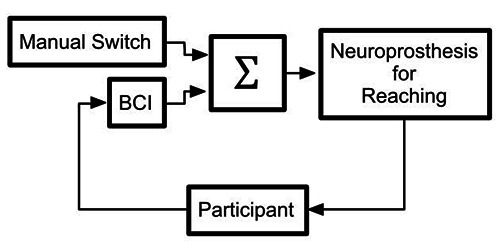 Fig 1.