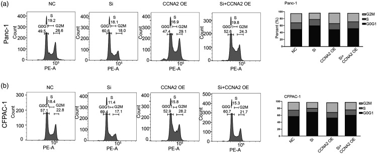 Figure 7.