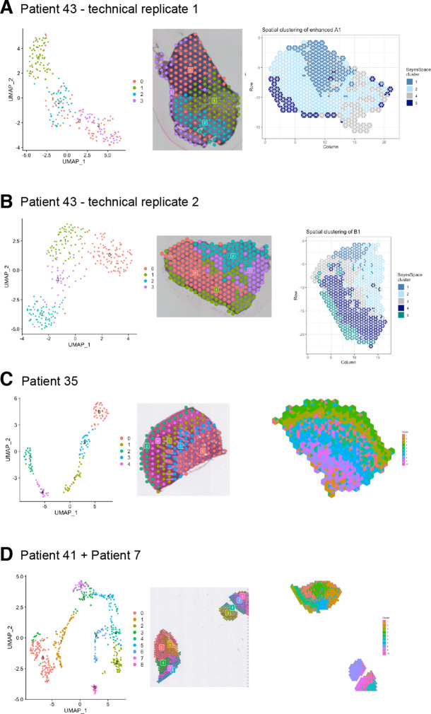 Figure 1—figure supplement 2.