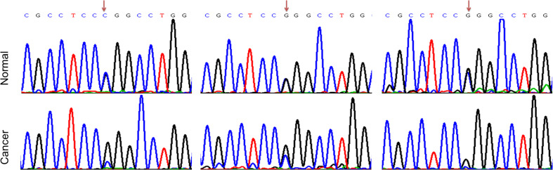 Fig. 1