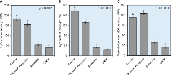 Figure 5