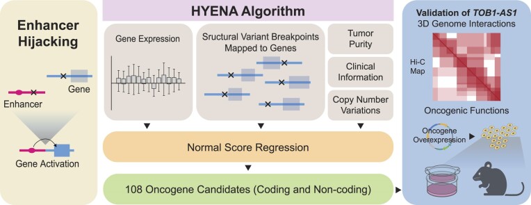 Graphical Abstract