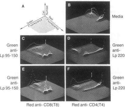 graphic file with name pnas00361-0243-a.jpg