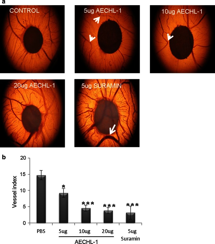 Fig. 3