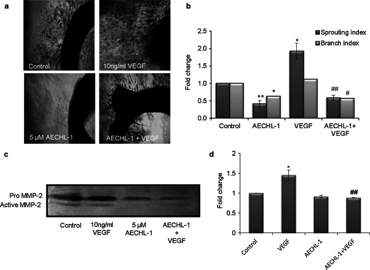 Fig. 4