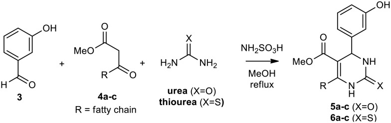 Scheme 1