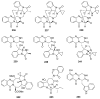 Figure 33