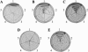 FIG. 2.