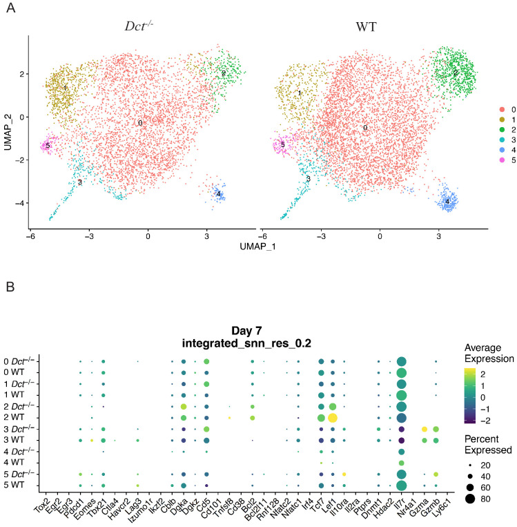 Figure 5—figure supplement 1.