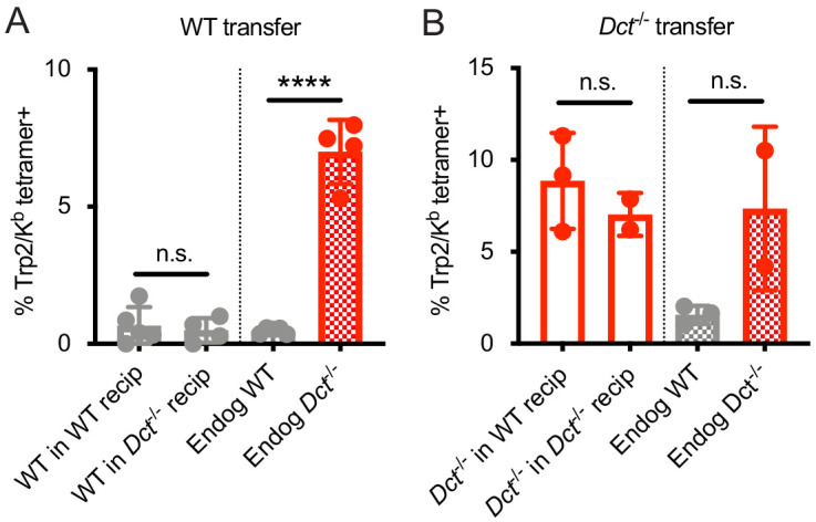 Figure 3—figure supplement 1.