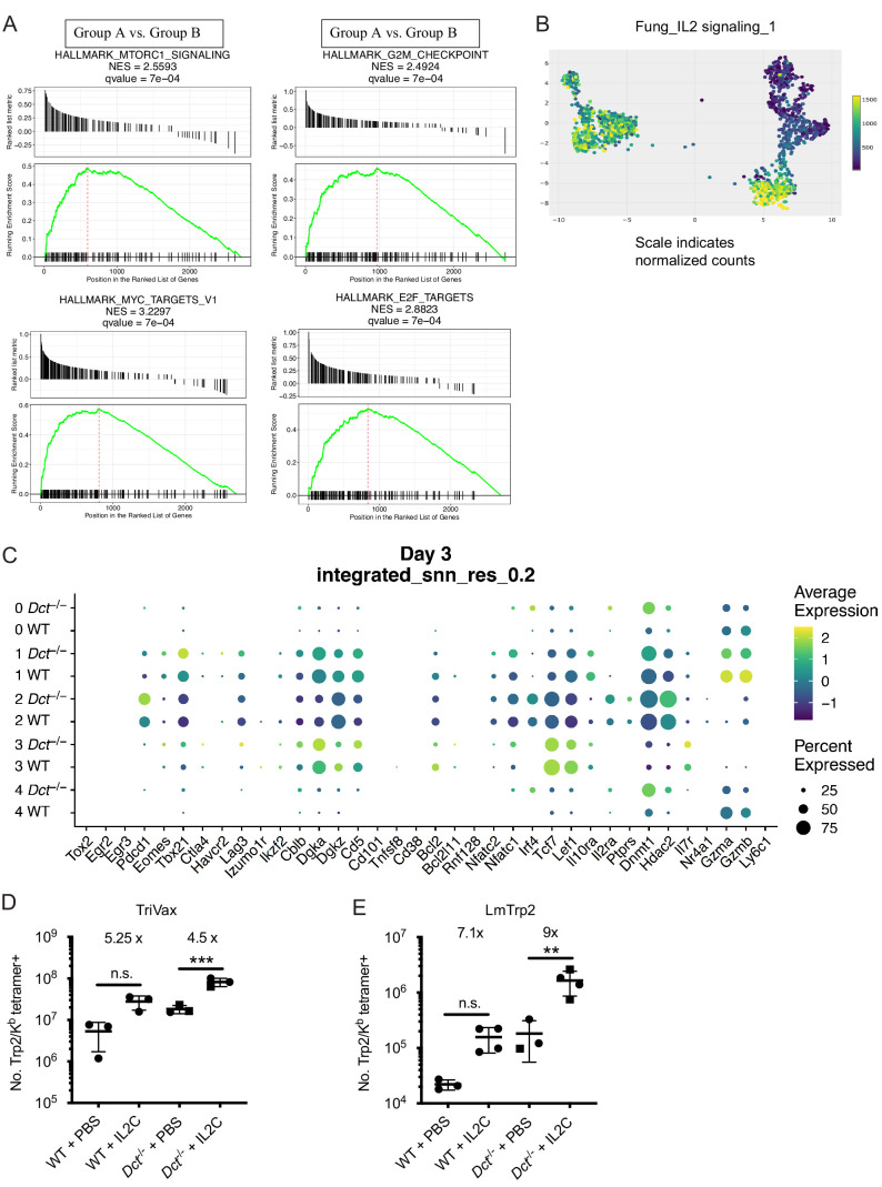 Figure 5—figure supplement 2.