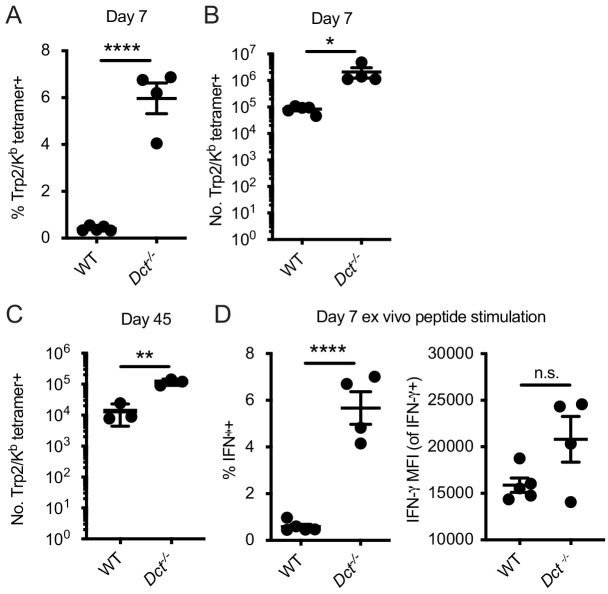 Figure 2—figure supplement 3.