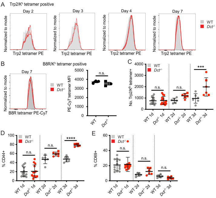 Figure 4—figure supplement 1.