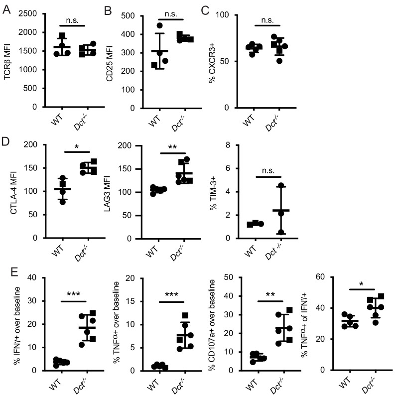 Figure 2—figure supplement 1.