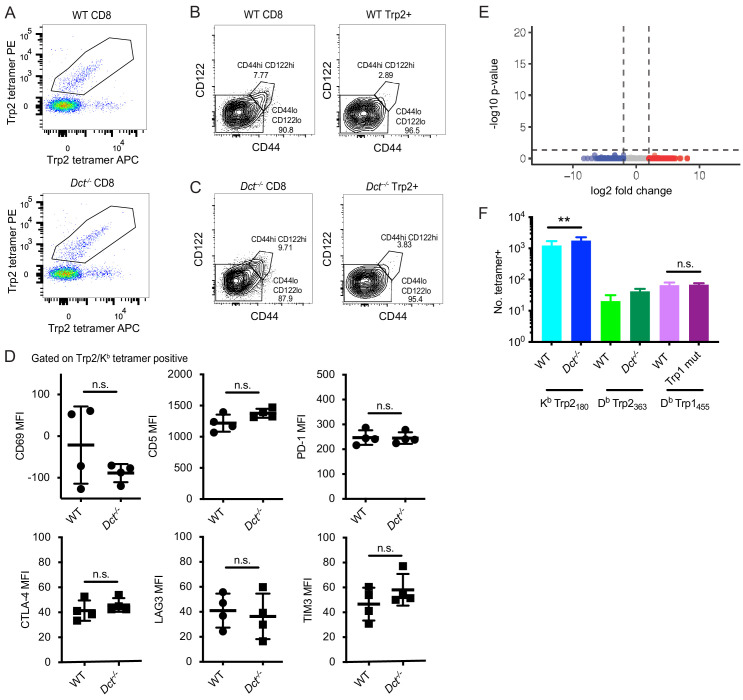 Figure 1—figure supplement 2.