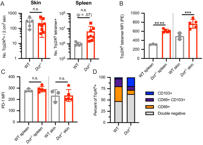 Figure 2—figure supplement 2.