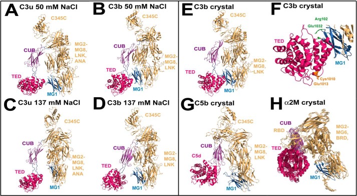 FIGURE 13.