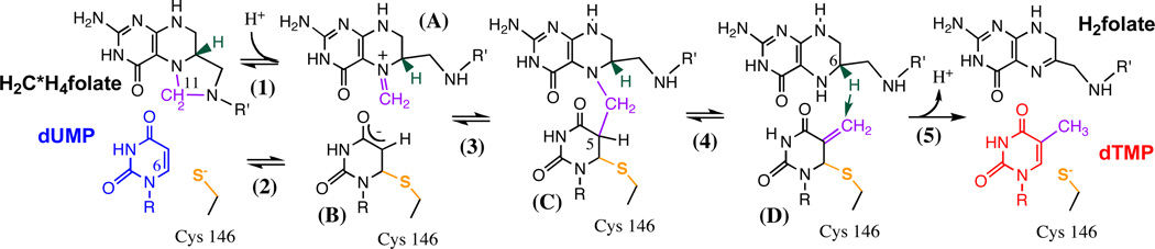 Scheme 2