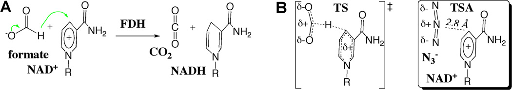 Scheme 3