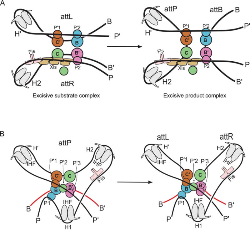 FIGURE 12