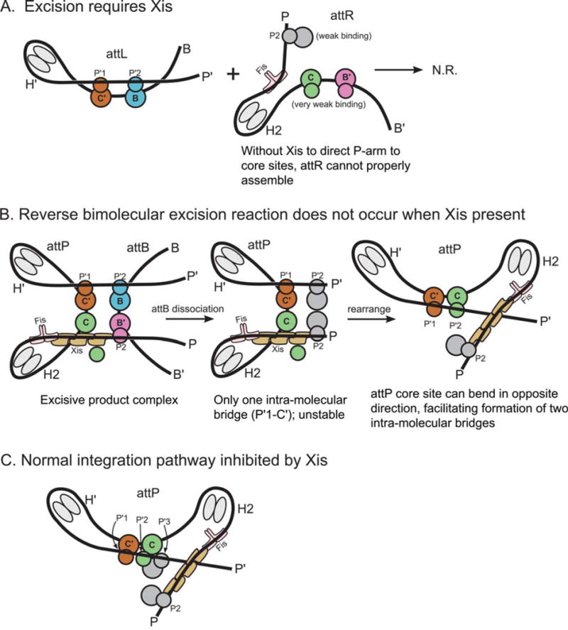 FIGURE 13