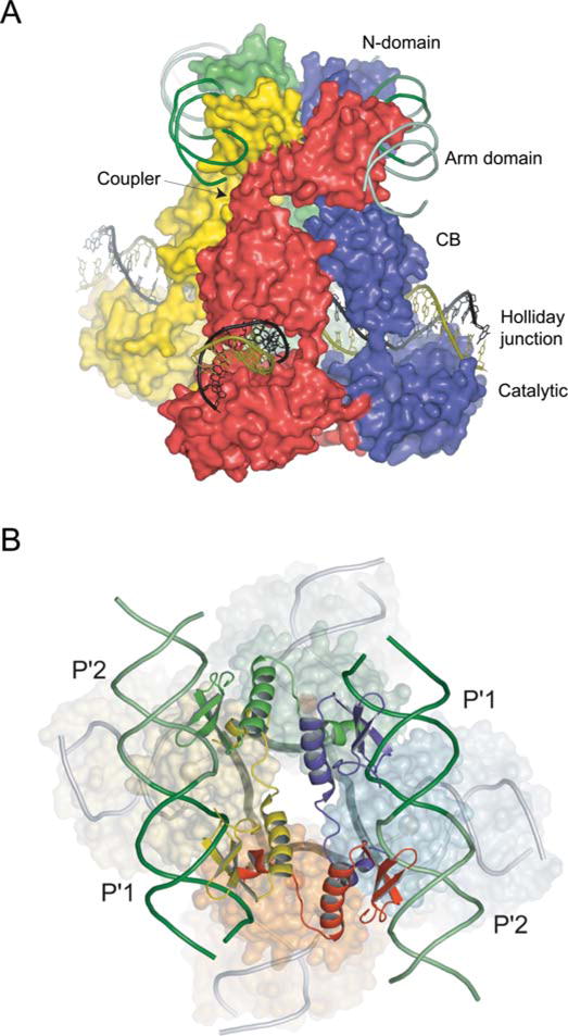 FIGURE 5