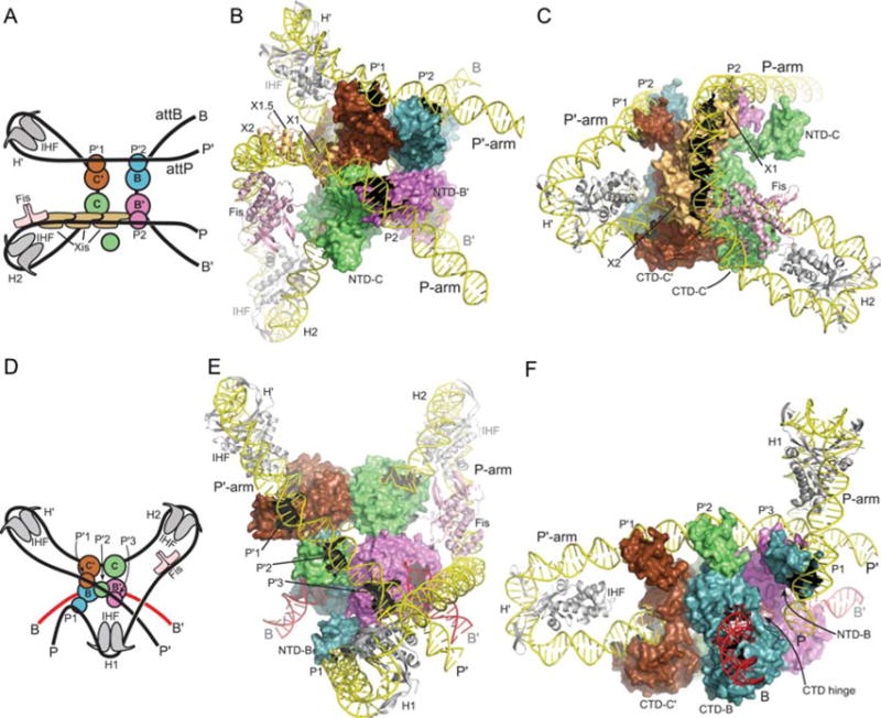 FIGURE 11