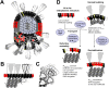 Fig. 10