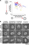 Fig. 9