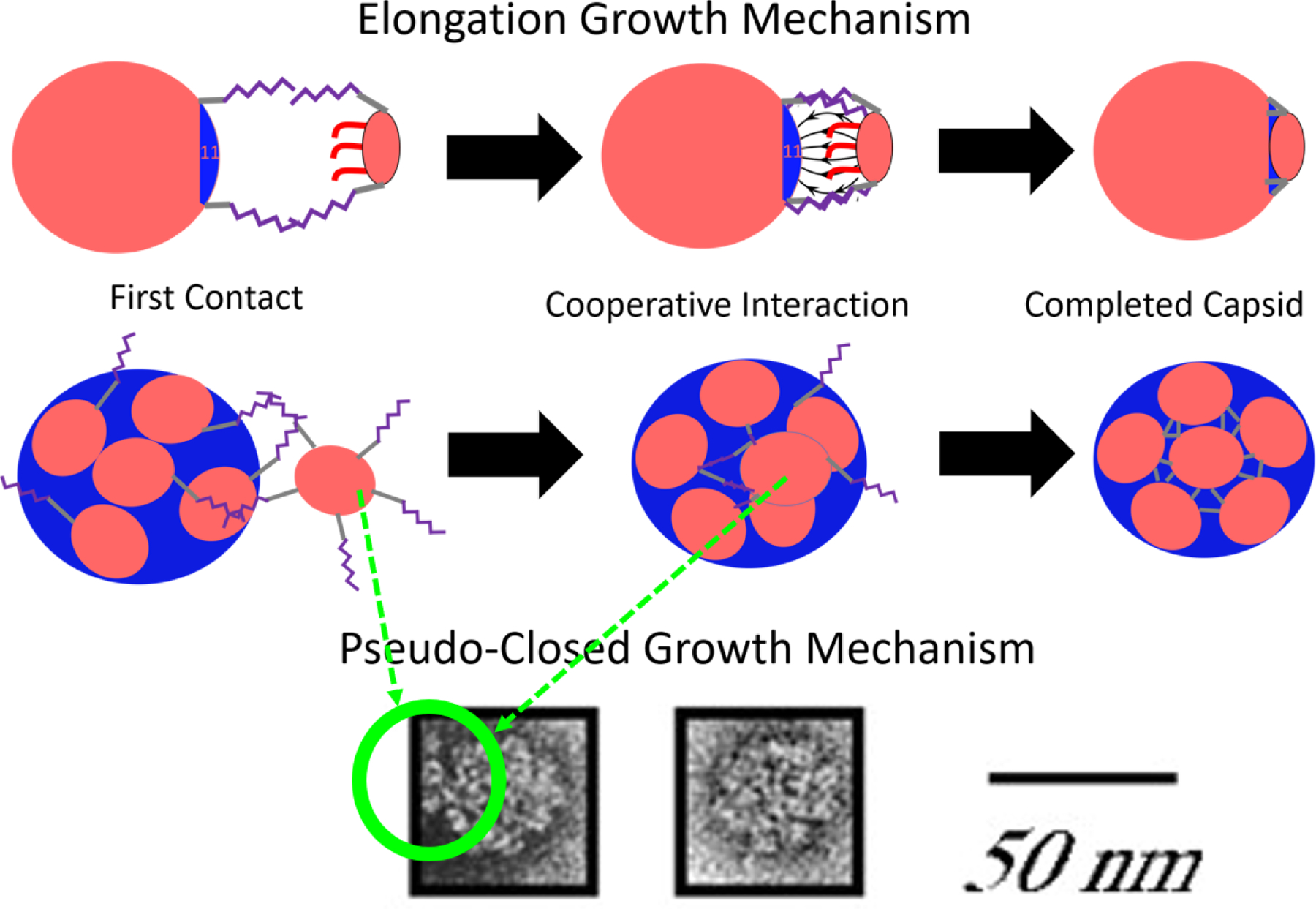 Figure 13: