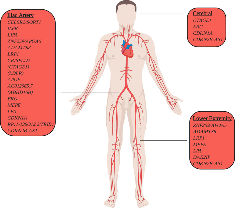 Figure 3.