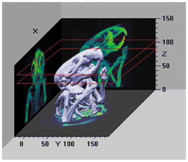 Fig. 7