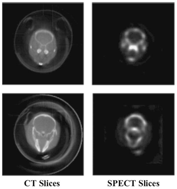 Fig. 8