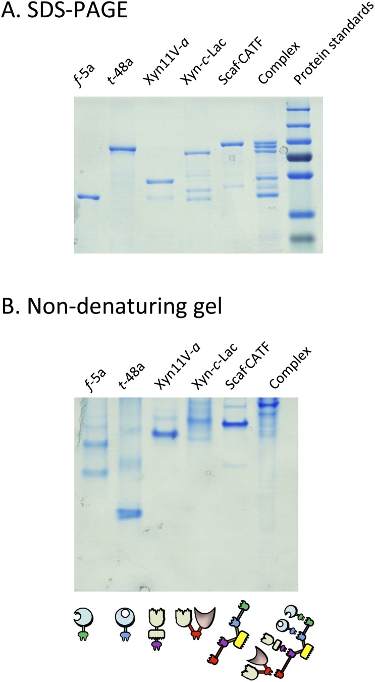 Fig. S3.