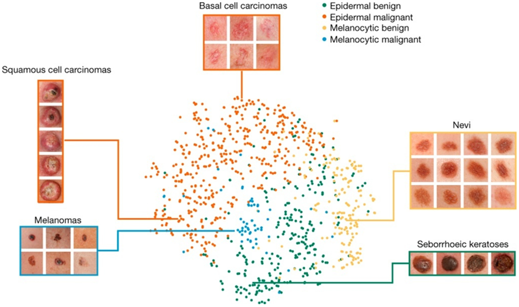 Figure 4 |