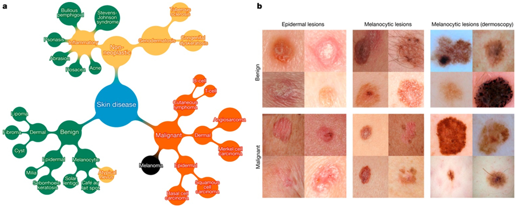 Figure 2 |