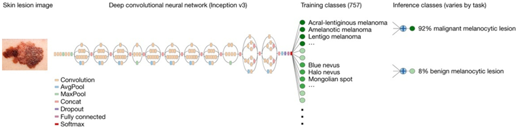 Figure 1 |