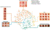 Figure 4 |
