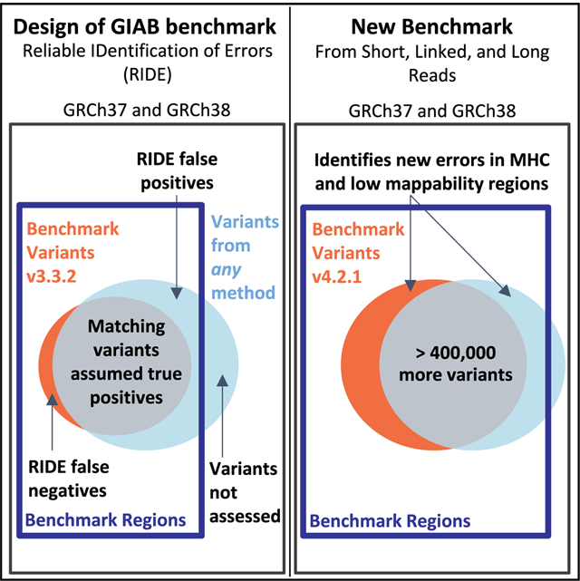 graphic file with name nihms-1809018-f0001.jpg