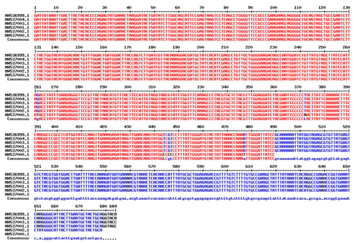 Figure 6