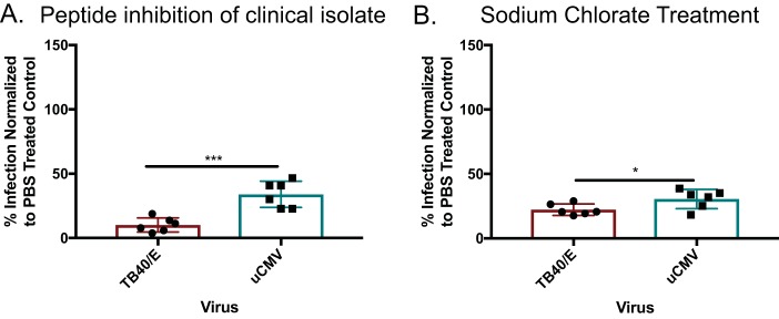 FIG 6